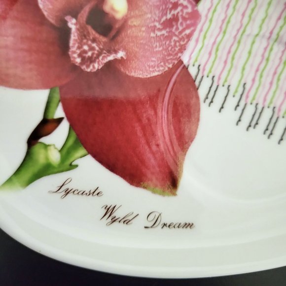 Royal Elfreda Flower Cup & Saucer - Lycaste Wyld Dream - Picture 7 of 13